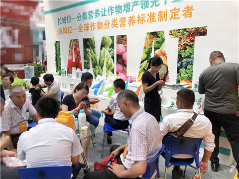 新疆，植保會(huì)，拉姆拉，翠姆，伯示麥