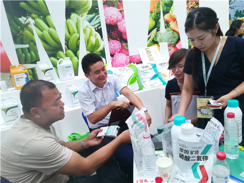 新疆，植保會(huì)，拉姆拉，翠姆，伯示麥