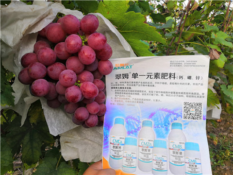 水溶肥，鈣肥，硼肥
