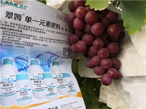 水溶肥，鈣肥，硼肥