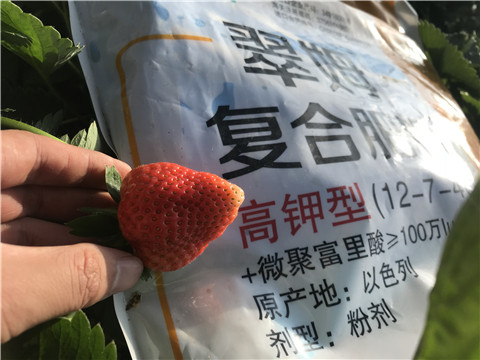 水溶，拉姆拉，翠姆