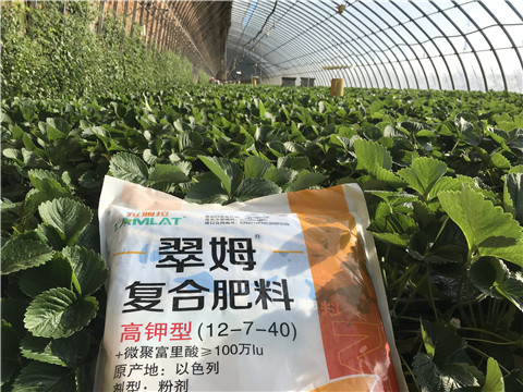 水溶，拉姆拉，翠姆