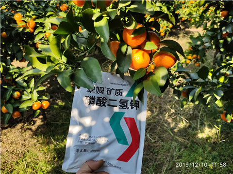 水溶肥，磷酸二氫鉀