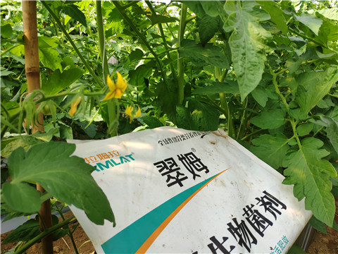 微生物菌劑，