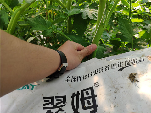 微生物菌劑，
