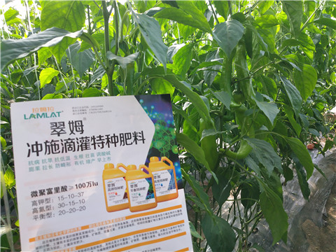 水溶肥，拉姆拉