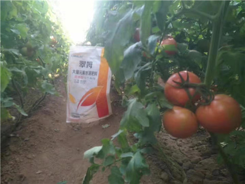 大量元素水溶肥，拉姆拉 