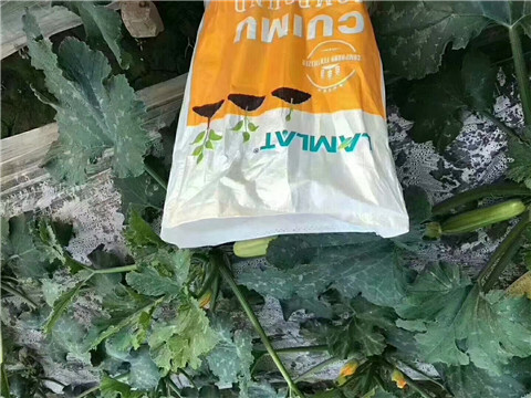 水溶肥，拉姆拉