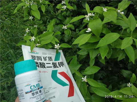 水溶肥，根碧多