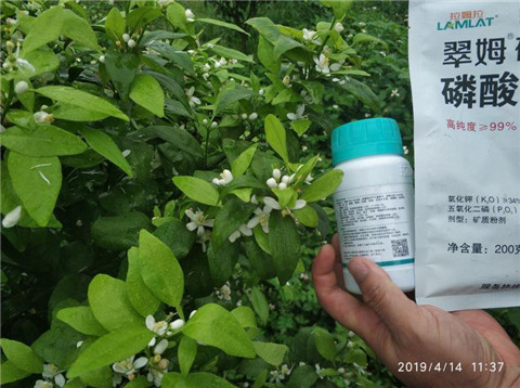 水溶肥，根碧多