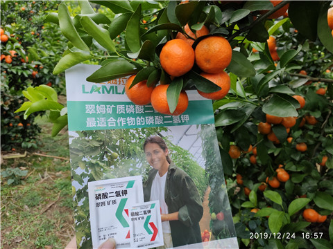 磷酸二氫鉀，鈣肥，硼肥