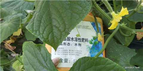 水溶肥，翠姆