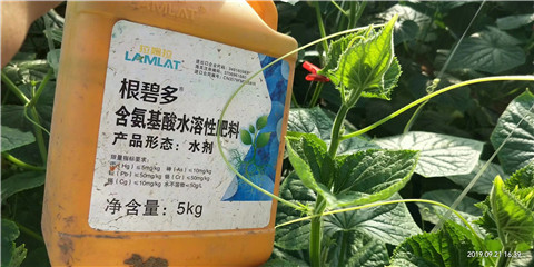 水溶肥，翠姆