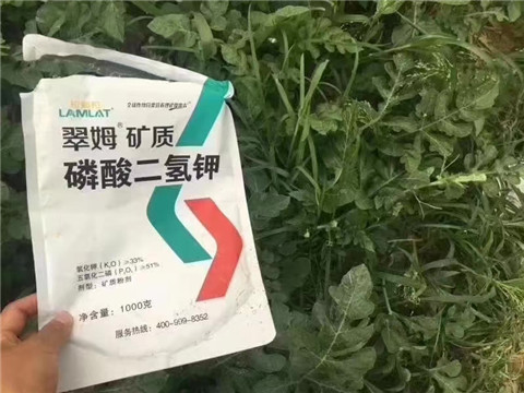 磷酸二氫鉀，硼肥，沖施肥