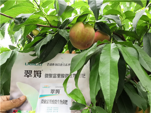 根碧多，微生物菌劑