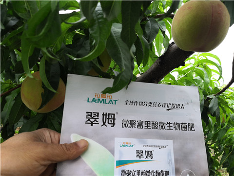 根碧多，微生物菌劑