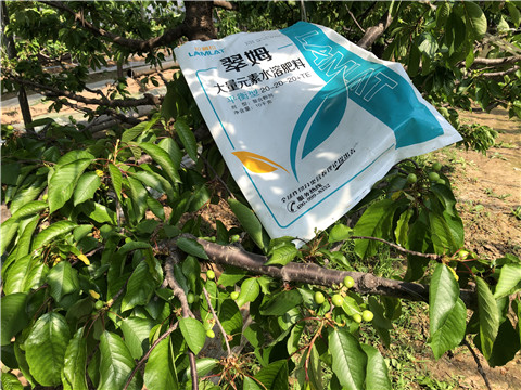 大量元素水溶肥，磷酸二氫鉀，硼肥