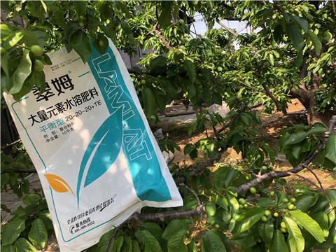 大量元素水溶肥，磷酸二氫鉀，硼肥