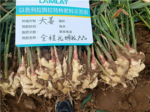 水溶肥，微生物菌劑，拉姆拉
