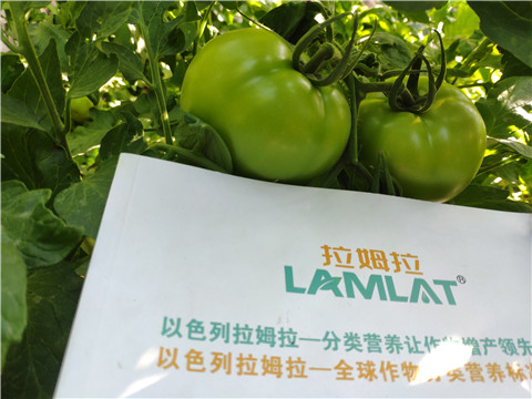 微生物菌劑，拉姆拉，伯示麥