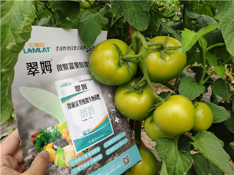 葉面肥，微生物菌劑，磷酸二氫鉀