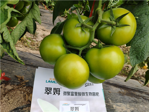葉面肥，微生物菌劑，磷酸二氫鉀
