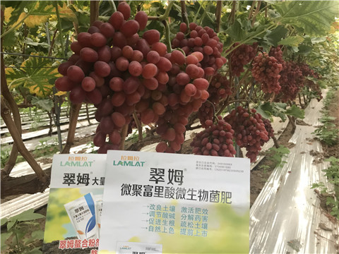 微生物菌劑，硼肥，鈣肥