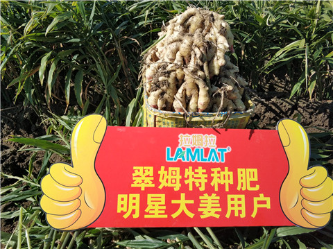 微生物菌劑，拉姆拉