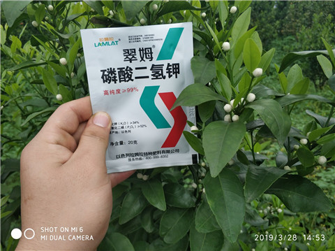 磷酸二氫鉀，硼肥，拉姆拉