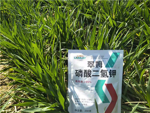 磷酸二氫鉀，葉面肥，拉姆拉