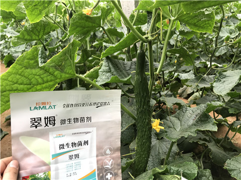 微生物菌劑，水溶肥，拉姆拉
