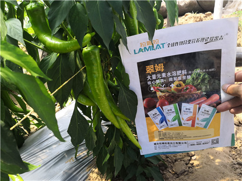 微生物菌劑，復(fù)合肥料，拉姆拉