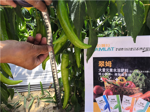 微生物菌劑，復(fù)合肥料，拉姆拉