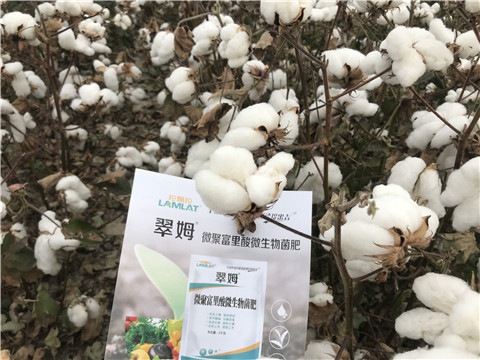 微生物菌劑，根碧多，拉姆拉
