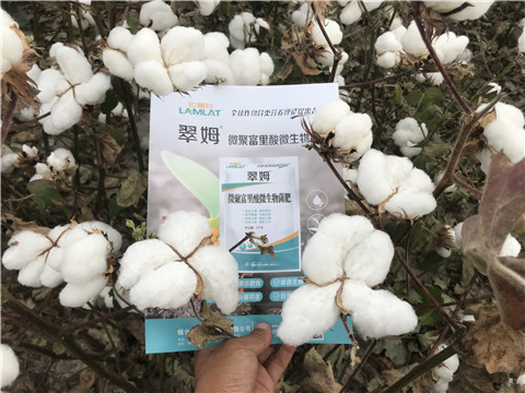 微生物菌劑，根碧多，拉姆拉