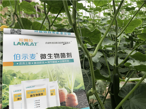 微生物菌劑，生根劑，拉姆拉