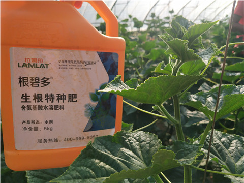 根碧多，磷酸二氫鉀，拉姆拉