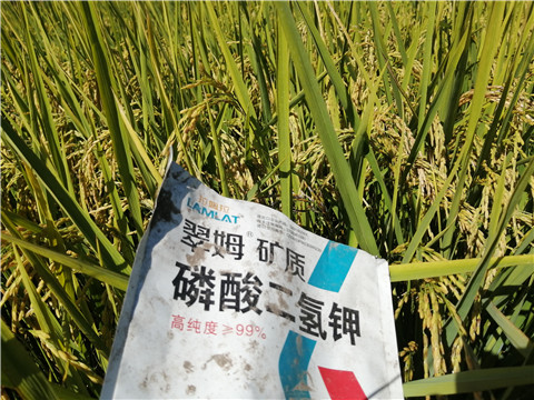 磷酸二氫鉀，翠姆，拉姆拉