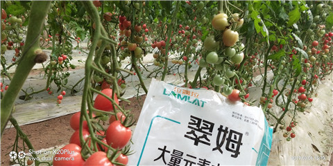 水溶肥，翠姆，拉姆拉