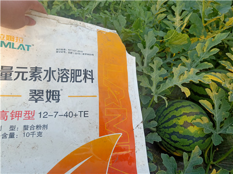 水溶肥，拉姆拉，翠姆