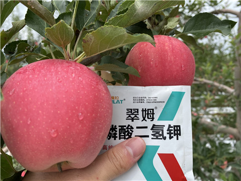 高鉀水溶肥，磷酸二氫鉀，拉姆拉，翠姆