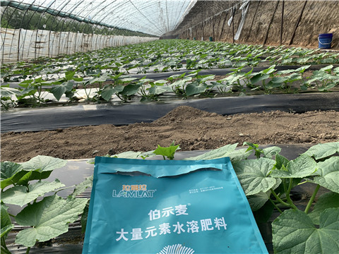 水溶肥，拉姆拉