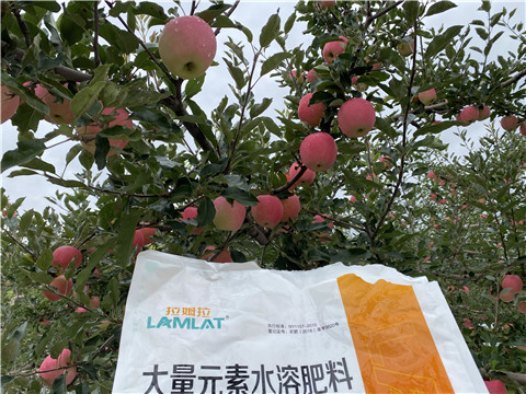 進口水溶肥品牌，拉姆拉，翠姆