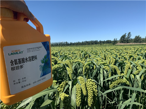 磷酸二氫鉀，拉姆拉，翠姆