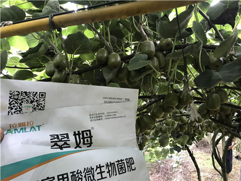 微生物菌劑，平衡顆粒復(fù)合肥，翠姆，拉姆拉