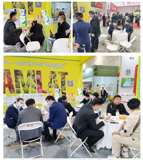 水溶肥，拉姆拉，翠姆