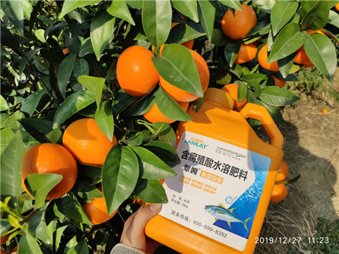 水溶肥，拉姆拉，翠姆
