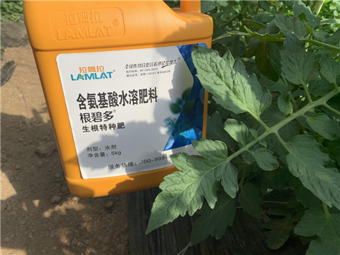 水溶肥，拉姆拉，翠姆