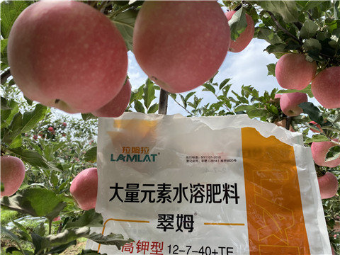 大量元素水溶肥，拉姆拉，翠姆