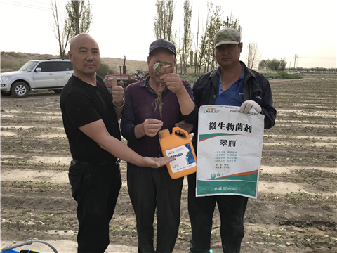 水溶肥，拉姆拉，翠姆